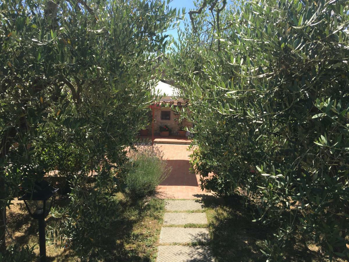 Casa Del Sole Villa Montespertoli Bagian luar foto